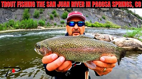 Trout Fishing The San Juan River In Pagosa Springs Youtube