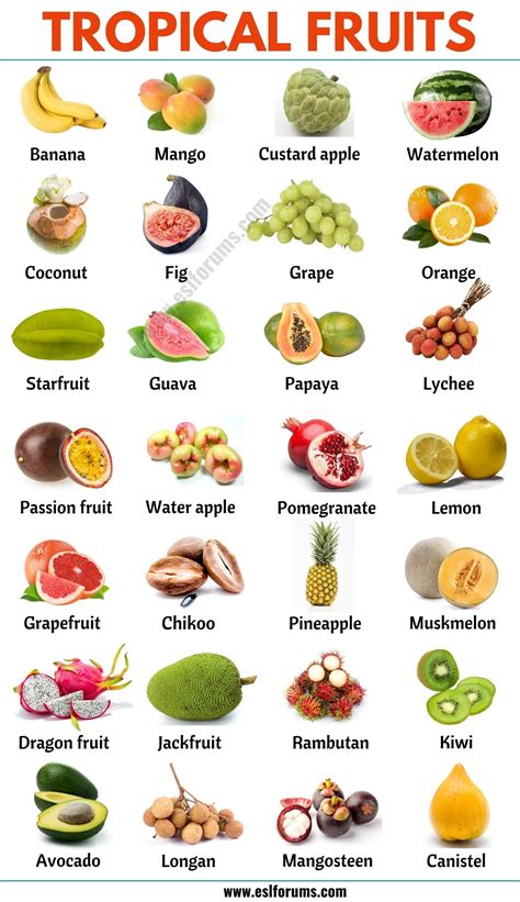 Tropical Fruits List Of 25 Popular Tropical Fruits In English Esl