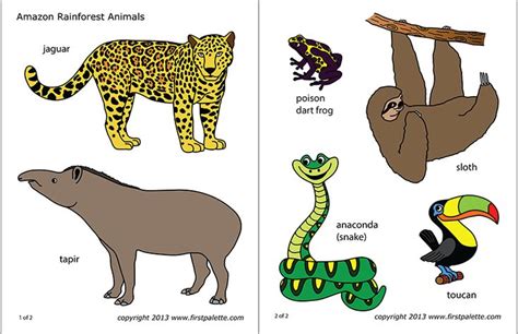 Amazon Jungle Or Rainforest Animals Free Printable Templates