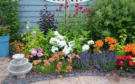 You want this magickal plant in your garden. Love Your Garden episode 7: Get the vintage garden look