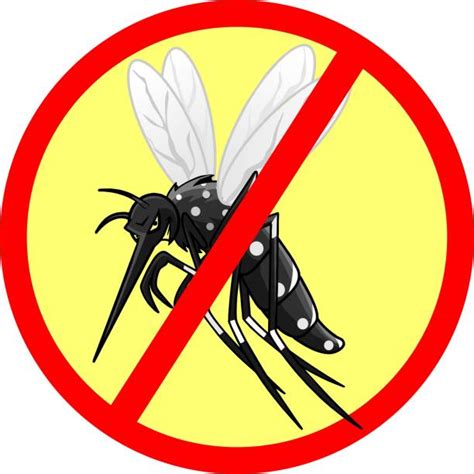 Dengue Fever Fever Stock Photos Pictures And Royalty Free Images Istock