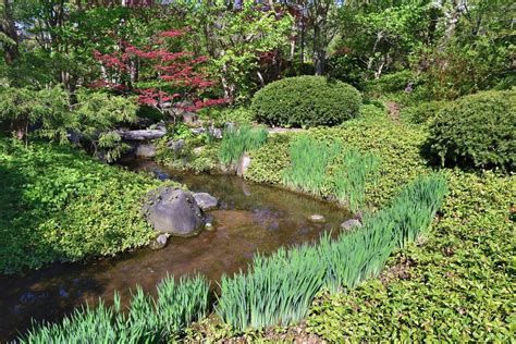 Pond Strolling Garden Anderson Japanese Gardens