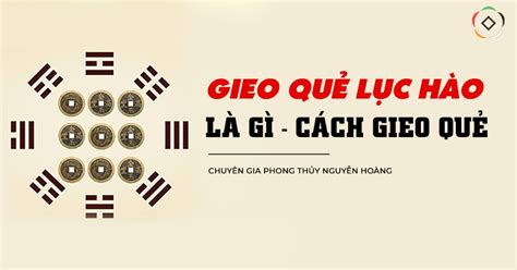 Gieo Quẻ Kinh Dịch Lục Hào Gieo Quẻ Hỏi Việc Chính Xác Chi Tiết Nhất