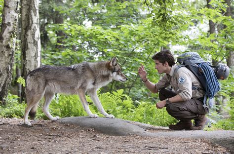 Ranger boots are the second best ranged footwear in terms of ranged attack bonus. Der Ranger - Paradies Heimat: Wolfsspuren - Degeto Film GmbH