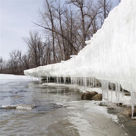 Spring Thaw Creates Icicles On Snow Bank Along Stream Stock Photo