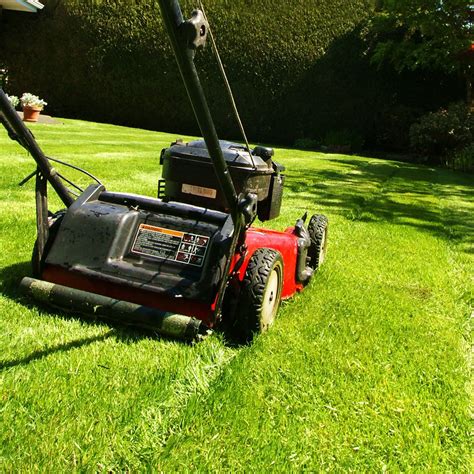 Plan For Mowing Your Lawn Cardinal Lawns