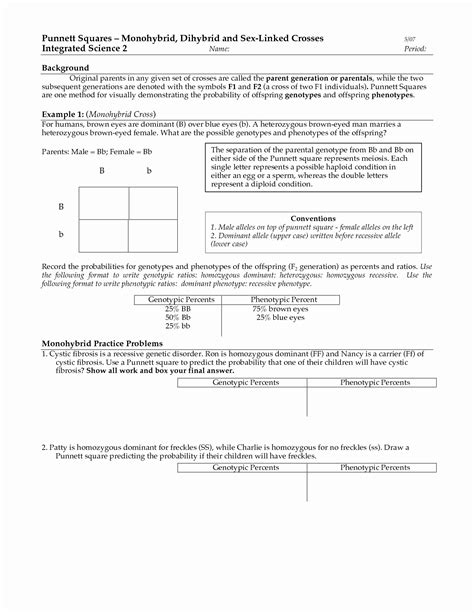 What would be the genotype and. 50 Dihybrid Cross Worksheet Answers | Chessmuseum Template ...
