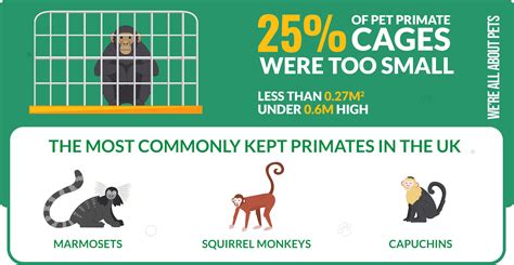 55 Alarming Animals In Captivity Statistics Were All About Pets
