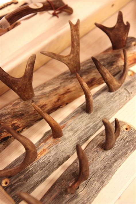 Antlers As Hangers Deer Antler Crafts Antler Crafts Deer Hunting