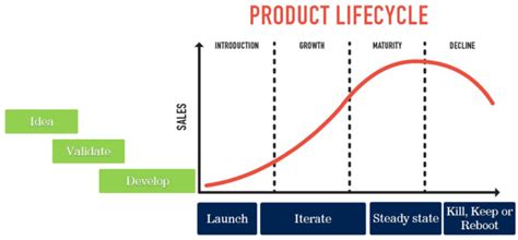Introduction To The Product Life Cycle Examples And Stages
