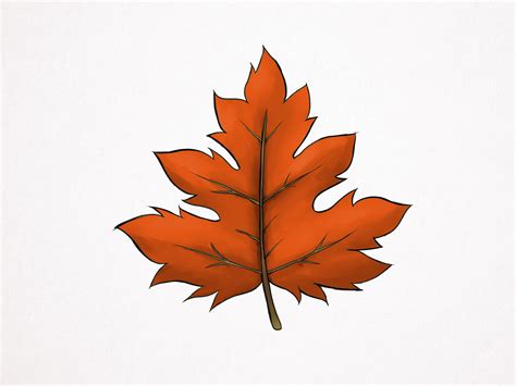 Leaf Drawing Expressfiln