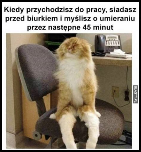 Kiedy i czy wrócimy do szkoły we wrześniu? 20+ memów - poniedzialek najlepsze śmieszne memy i ...