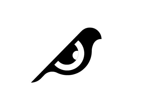 Bird Eye Animation By Spg Marks ️ On Dribbble