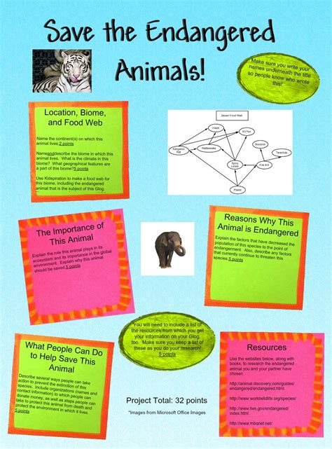 Top 120 How To Save Endangered Animals Poster