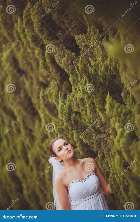 Bride Portrait Over Green Trees Outdoor Stock Image Image Of Cheerful