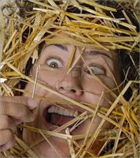 A haystack is a large tall pile of hay in i went into my younger brother's bedroom to get the cd i lent him. Like Looking For a Needle In a Haystack | EVIL ENGLISH