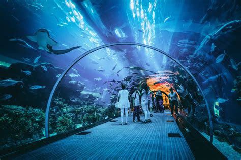 Jakarta Aquarium Elss Group Ltd