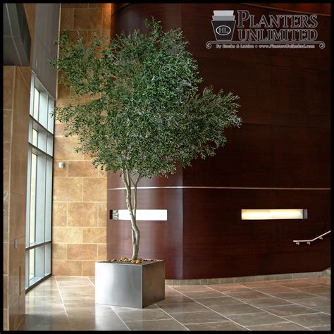 Custom Artificial Indoor Trees Indoor Faux Trees Custom Silk Trees