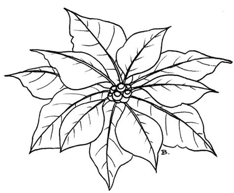 100% free flowers coloring pages. Beccy's Place: Poinsettia
