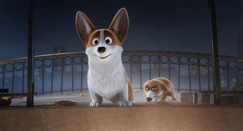 Cần cho thuê gấp căn hộ hoàng anh gia lai 1: Review phim "Corgi: Những chú chó hoàng gia" vui nhộn ...