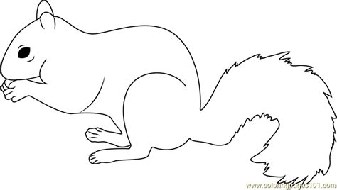Also, find more png about free squirrel coloring pages png. Grey squirrel Coloring Page - Free Squirrel Coloring Pages ...