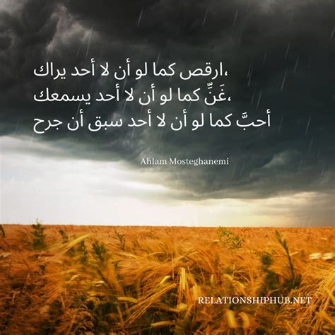 11 Best Arabic Quotes About Life Love And Happiness Relationship Hub