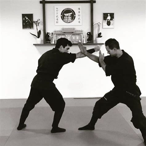 Taijutsu Academy Aiki Taijutsu Martial Arts Demonstration By Sensei