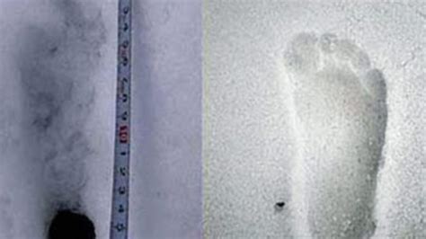 Supposed Yeti Footprints Found In Nepal