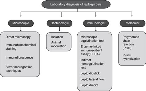 5 Laboratory Diagnostic Methods For Leptospirosis Download