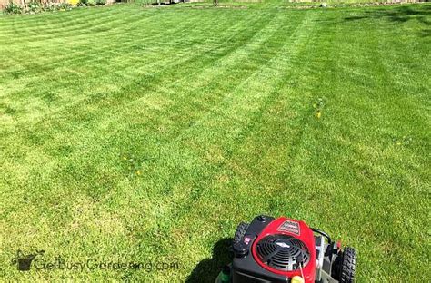 Lawn Mowing Patterns How To Cut Grass Like A Pro