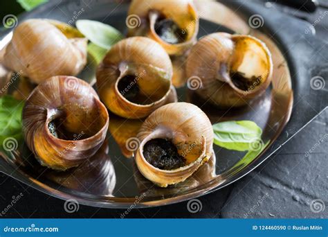 Escargot Burgundy Snails With Garlic Butter Stock Photo Image Of