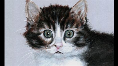 How to draw a kitten - YouTube