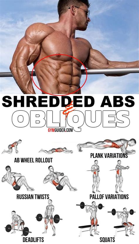 A Lot Of Focus Is Placed On Training Abdominals With Crunches And Planks But Many People Forget