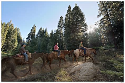 Horseback Riding Sequoia National Park National Parks Picture Video
