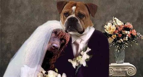 Kann ich diese hochzeitsglückwünsche kostenlos verwenden? Psst! Wie deine Videobotschaft zum Highlight jeder Hochzeit wird | Anleitung
