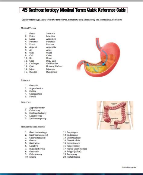 Medical terms in malay language. Easy Medical Terminology 2.0: Gastroenterology Free PDF ...