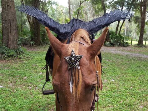 Black Horse Wings Feathered Wings For Horse Pony Or Etsy