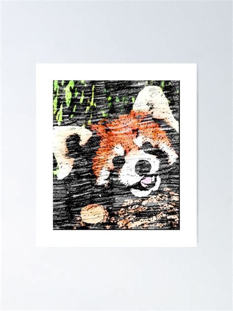 Save The Red Panda Endangered Red Panda Poster By Parayonline