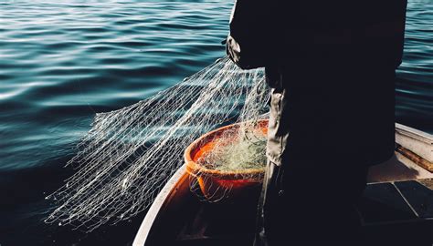 Día Mundial De La Pesca ¿qué Es La Pesca Sostenible Ethic