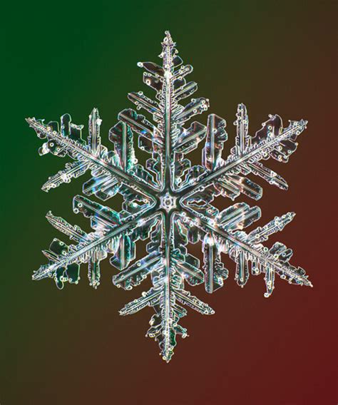 Worlds Highest Resolution Snowflake Camera By Nathan Myhrvold