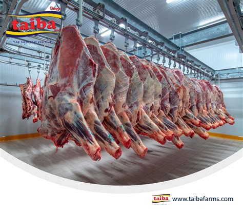 wholesale beef & Meat near me In UAE & Gulf | taiba farms
