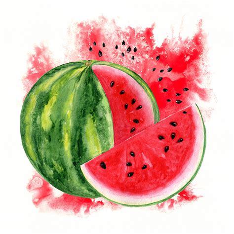 Watermelon Watercolor Painting Painting Art Painting Art