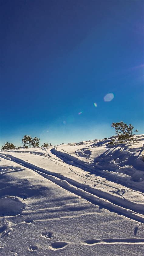 Download Wallpaper Sunny Day In This Winter Landscape 1242x2208