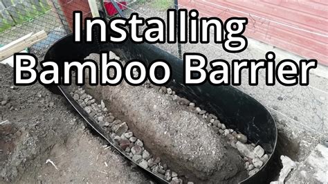 Building And Planting Up Two Bamboo Beds With Rhizome Barrier Youtube