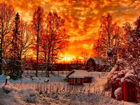 Free Images Sunset Tree Winter Snow Nature Branch Landscape