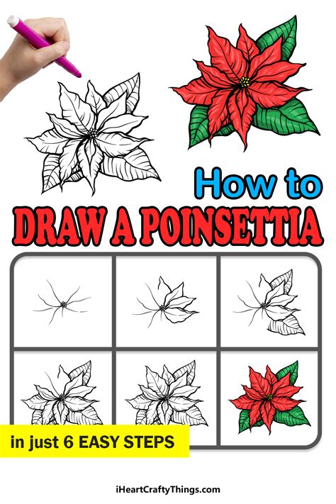 How To Draw A Poinsettia Flower Best Flower Site