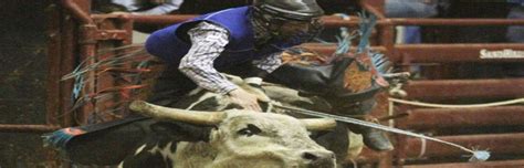 rider fighting for life after being stomped by bull ohs daily news