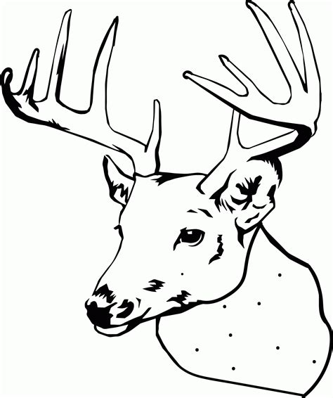 We did not find results for: Simple Elk Coloring Pages