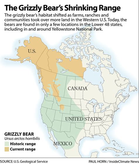 Map The Grizzly Bears Shrinking Range Inside Climate News