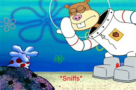 16 Spongebob Memes Sandy Factory Memes